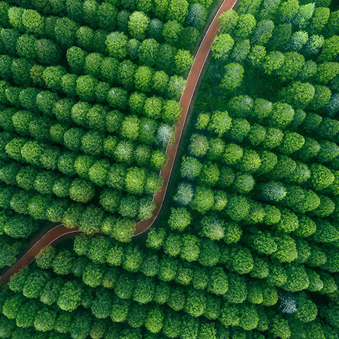 纯氧燃烧器